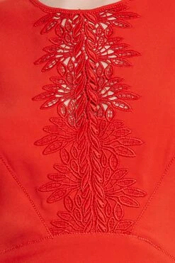 Elie Tahari Lace Applique Midi Dress -ELIE TAHARI Sales E3098613 AGAVE 3BACK 3261 detail