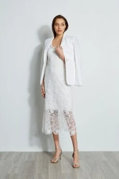 Elie Tahari Lace Maxi Dress 11 Elie Tahari Lace Maxi Dress -ELIE TAHARI Sales E401J603 PEARL 3back 2279