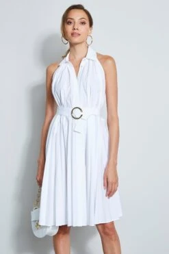 Pleated Shirt Dress 12 Pleated Shirt Dress -ELIE TAHARI Sales ETR21300 SKYWHITE DRESS 2FRONT 1032