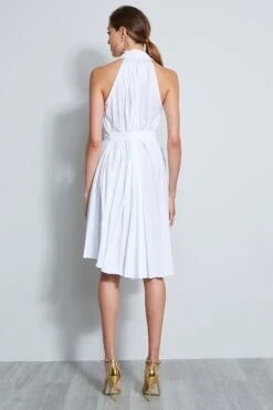 Pleated Shirt Dress 13 Pleated Shirt Dress -ELIE TAHARI Sales ETR21300 SKYWHITE DRESS 3BACK 1039